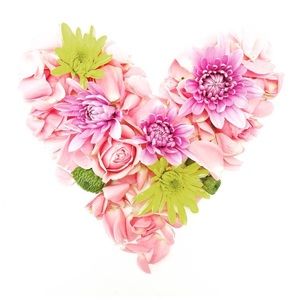 Meet your Posher, Elle